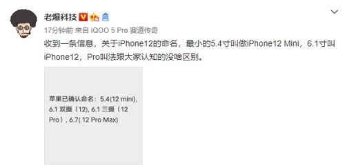 codm 12最新爆料,全新玩法与角色曝光，战斗体验再升级！